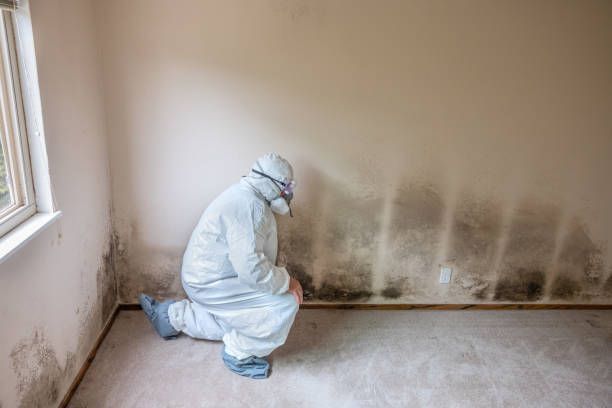 man restoring water damage