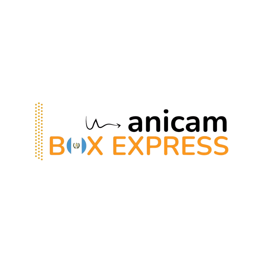 The logo for anicam box express is orange and black on a white background.