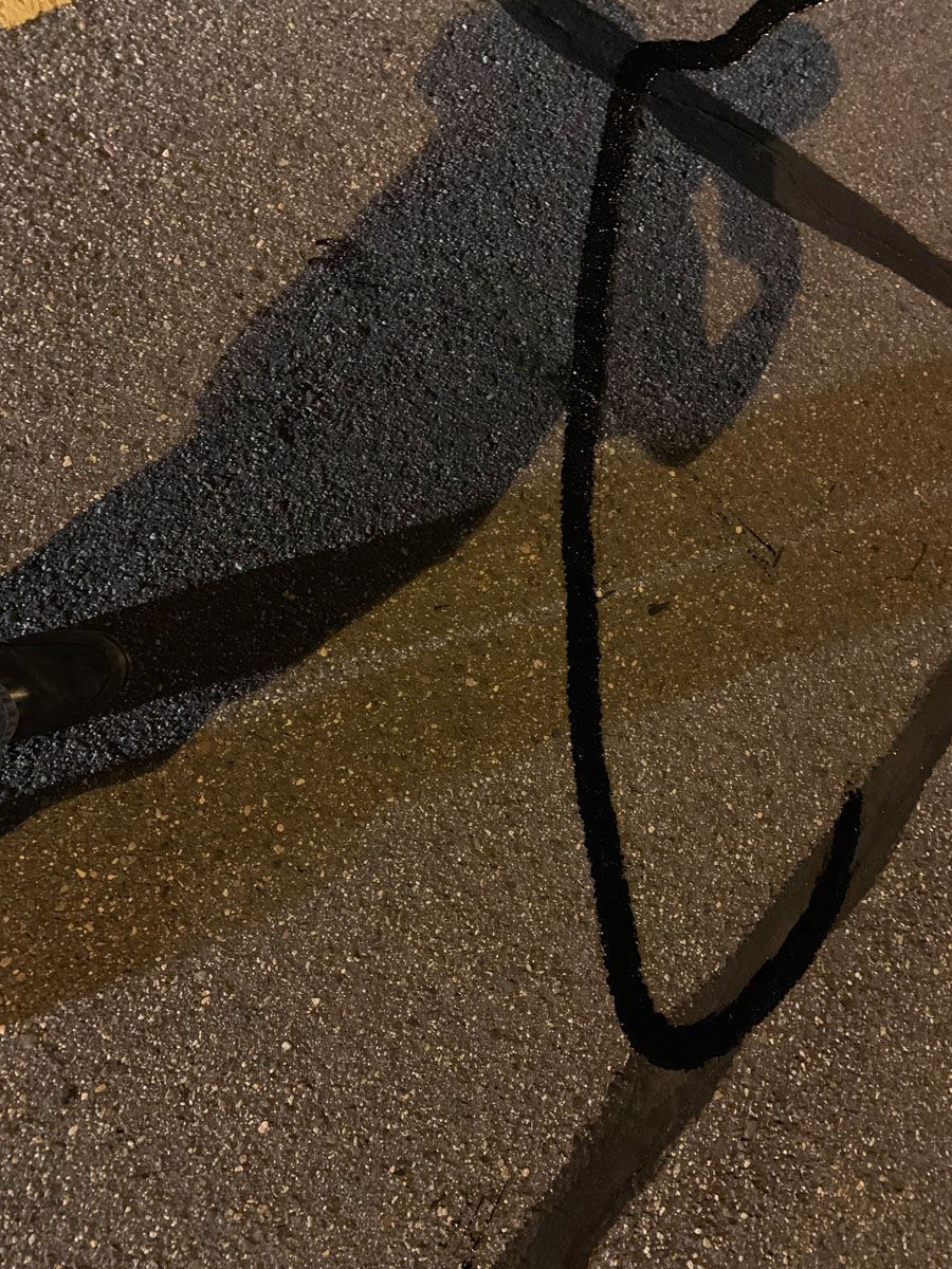 A shadow of a person walking a dog on a leash
