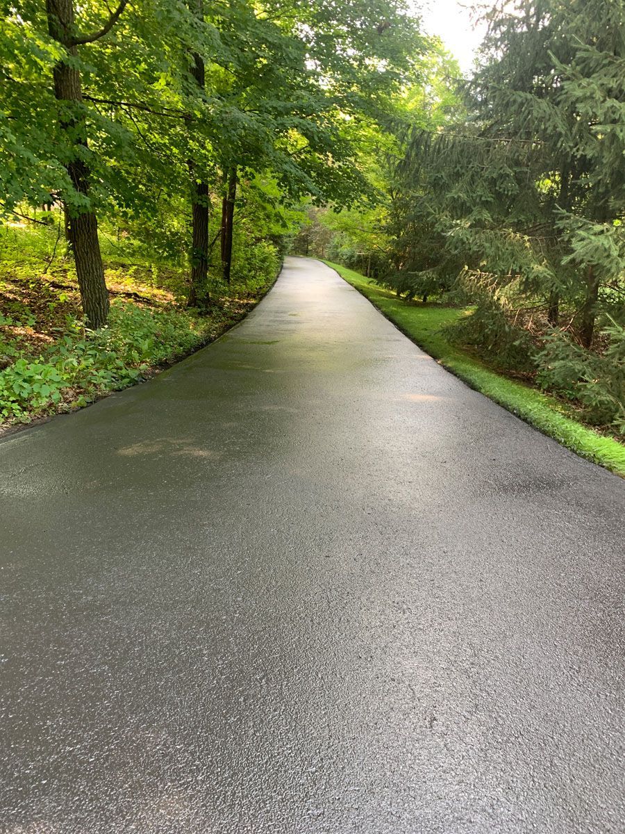 A road going through a forest with trees on both sides.