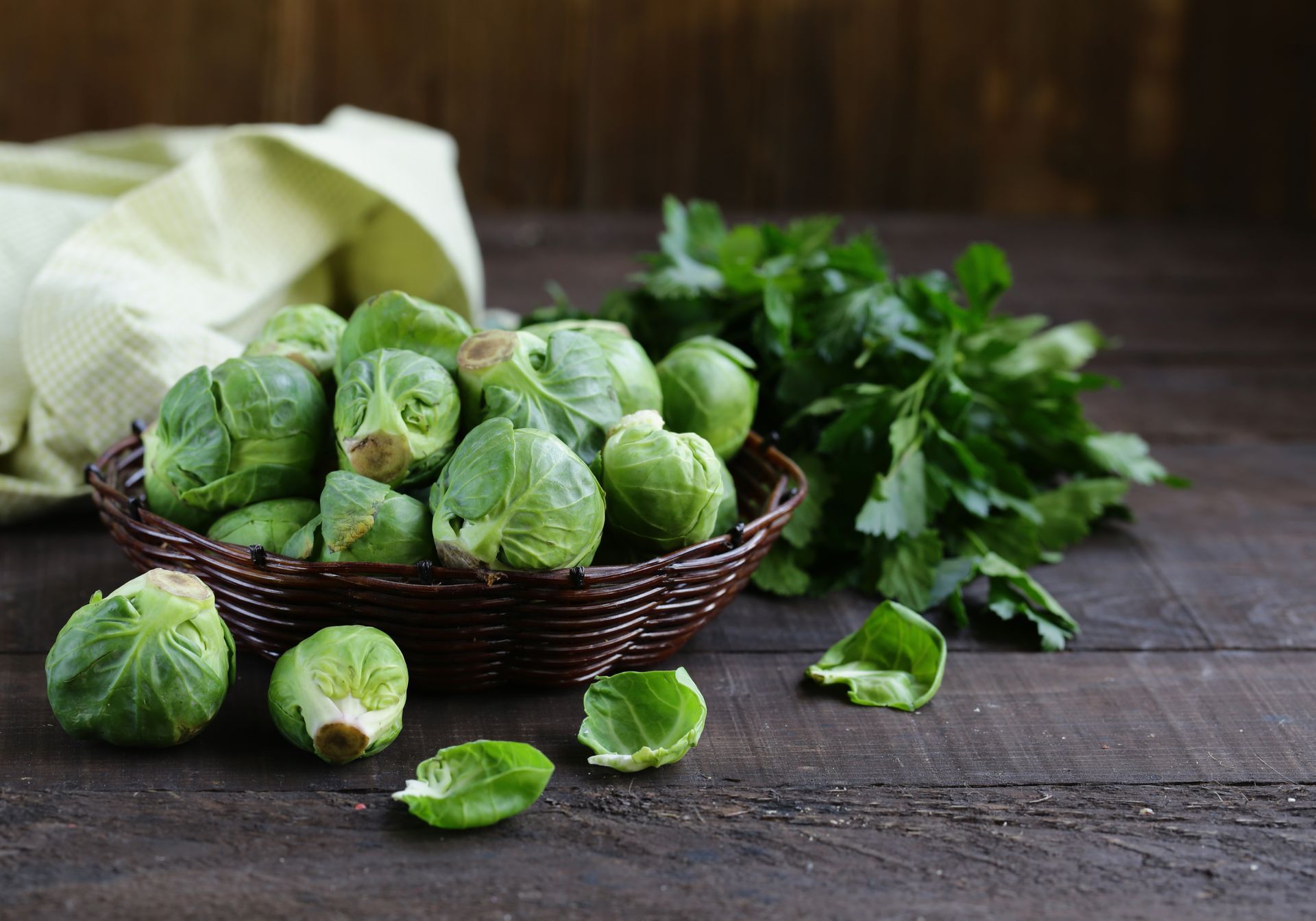 Gesundheitsberatung und Ernährungsberatung Brandenburg