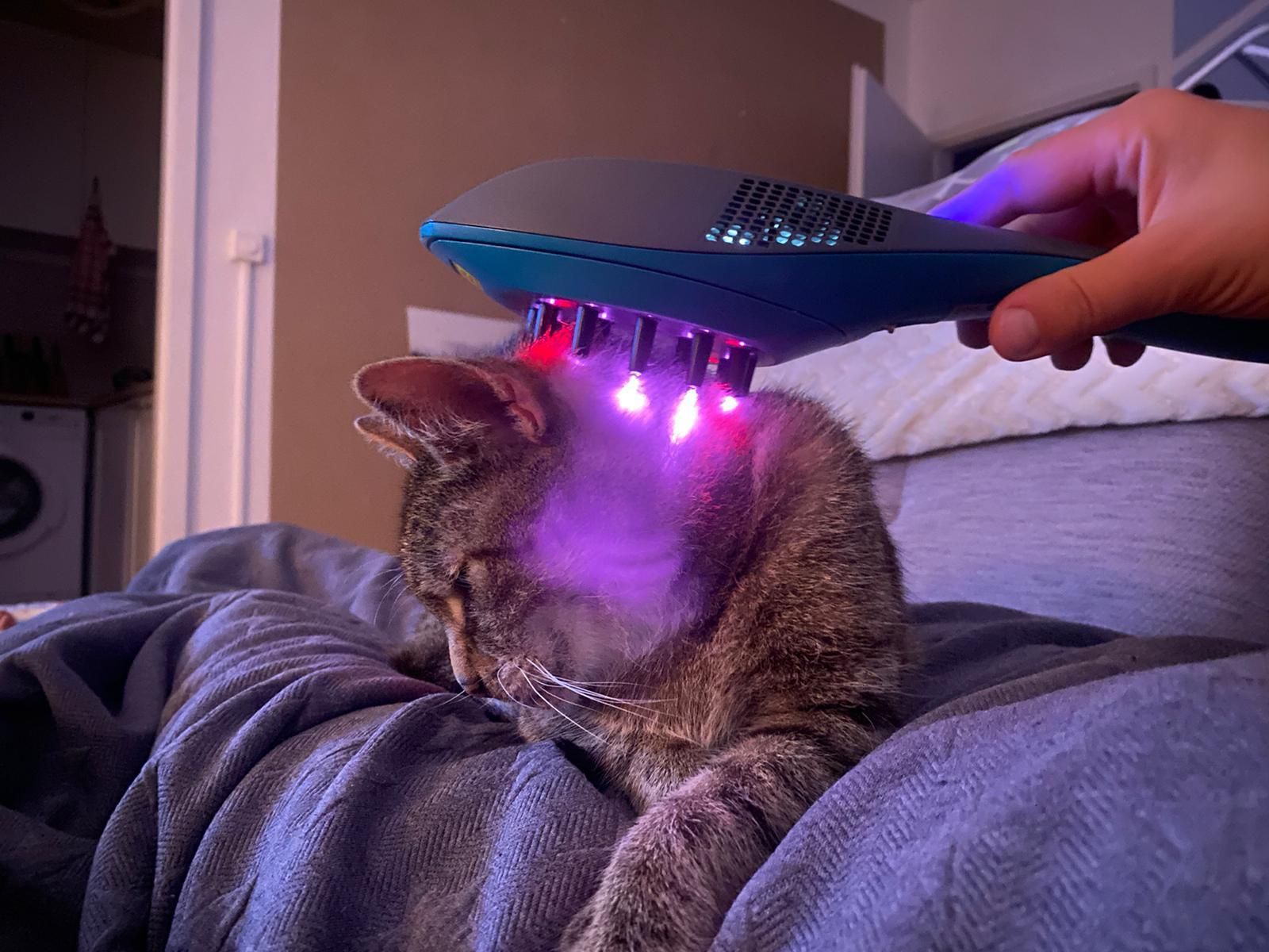 Gesundheitsberatung und Ernährungsberatung Brandenburg