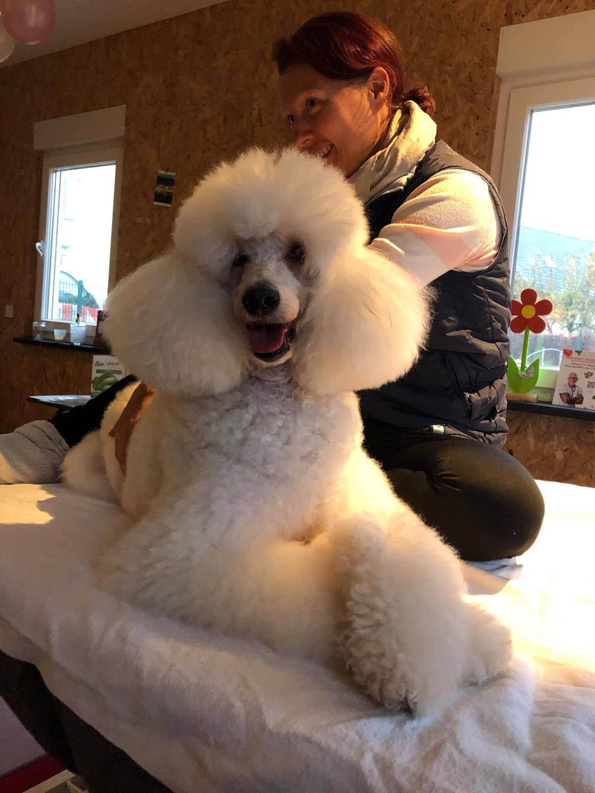 Gesundheitsberatung und Ernährungsberatung Brandenburg