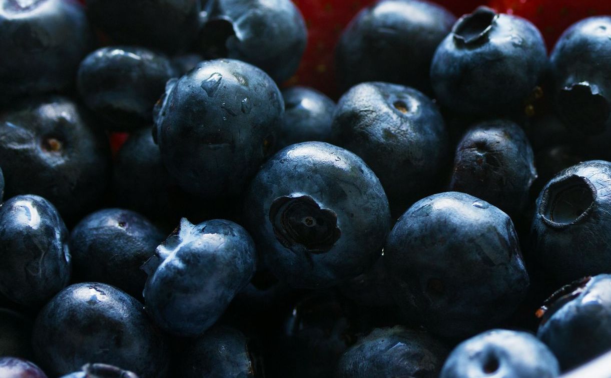 Gesundheitsberatung und Ernährungsberatung Brandenburg