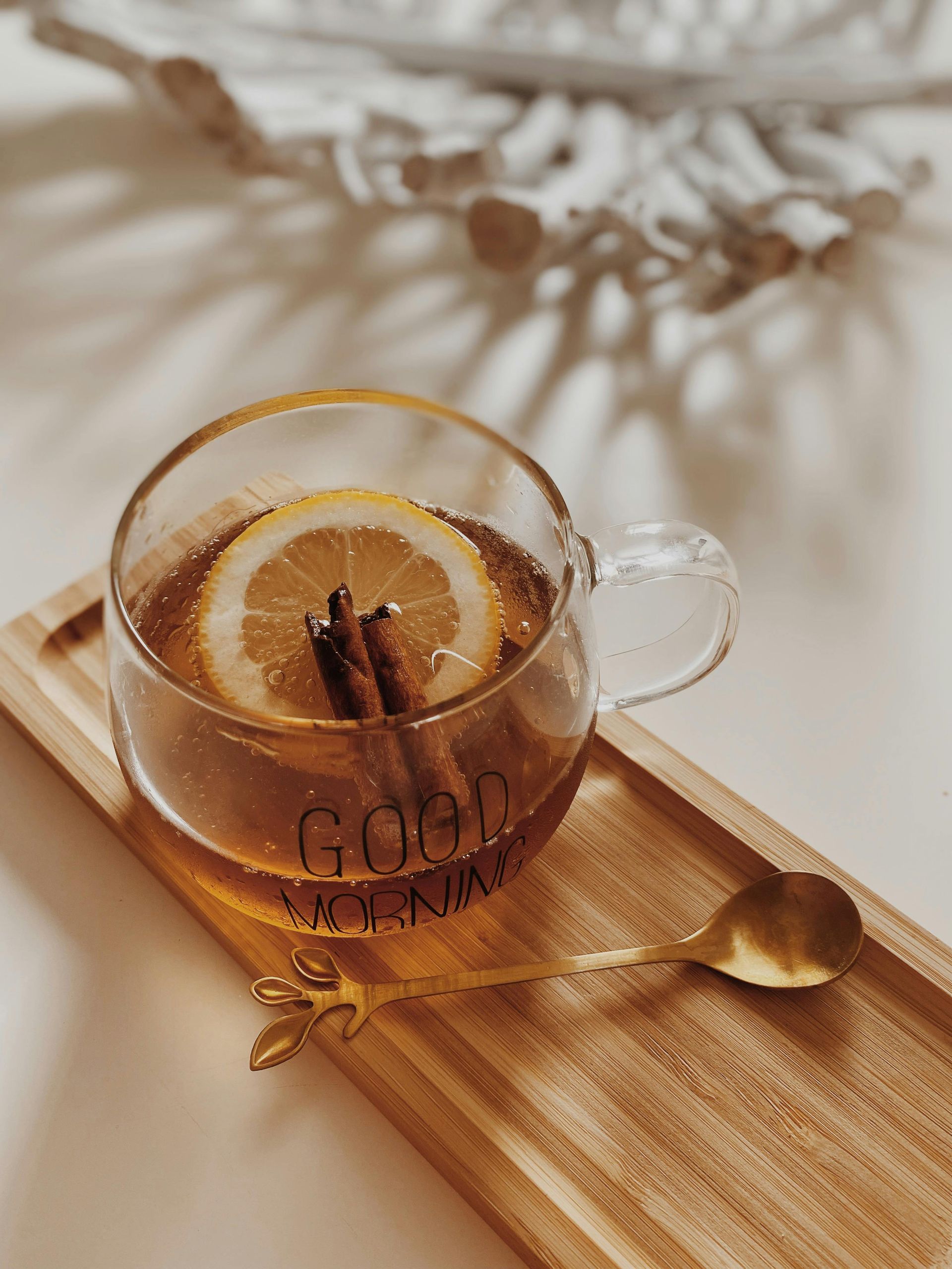 Gesundheitsberatung und Ernährungsberatung Brandenburg