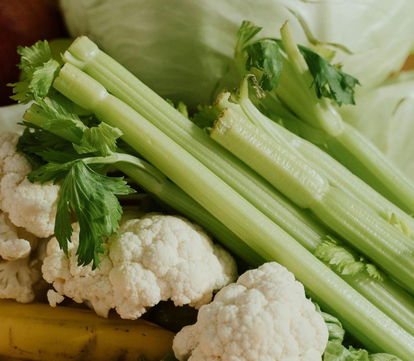 Gesundheitsberatung und Ernährungsberatung Brandenburg