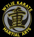 Wylie Martial Arts