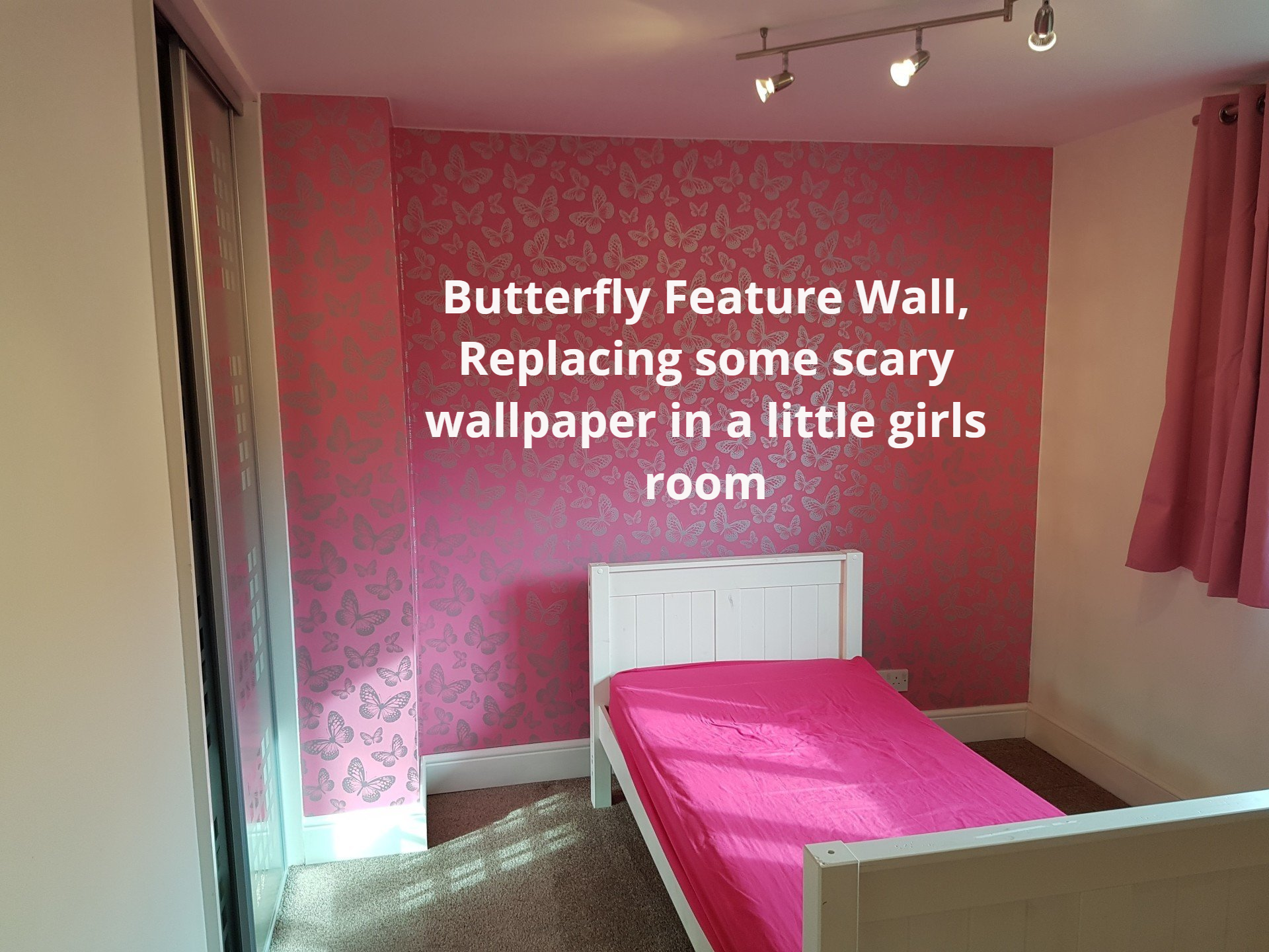 ButterFly Feature Wall.