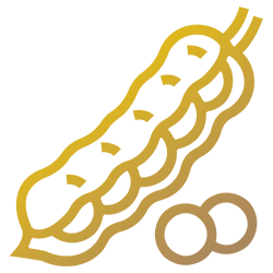 Icona - Fave essiccate