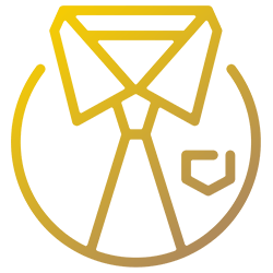 Icona - Professionalità