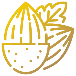 Icona - Mandorle, mandorle amare e mandorle confezionate