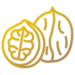 Icona - Noci e noci brasiliane, anche sgusciate