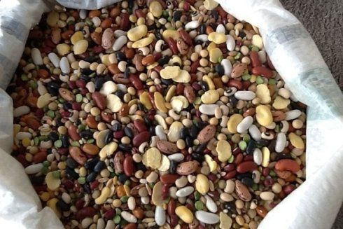 legumi essiccati vari