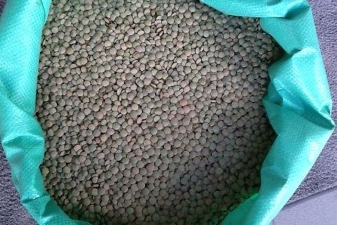 lenticchie essiccate