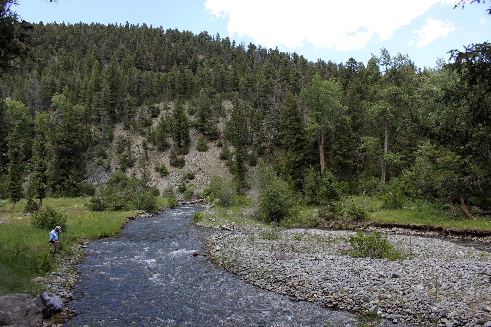 A river in the middle of a forest with trees on both sides