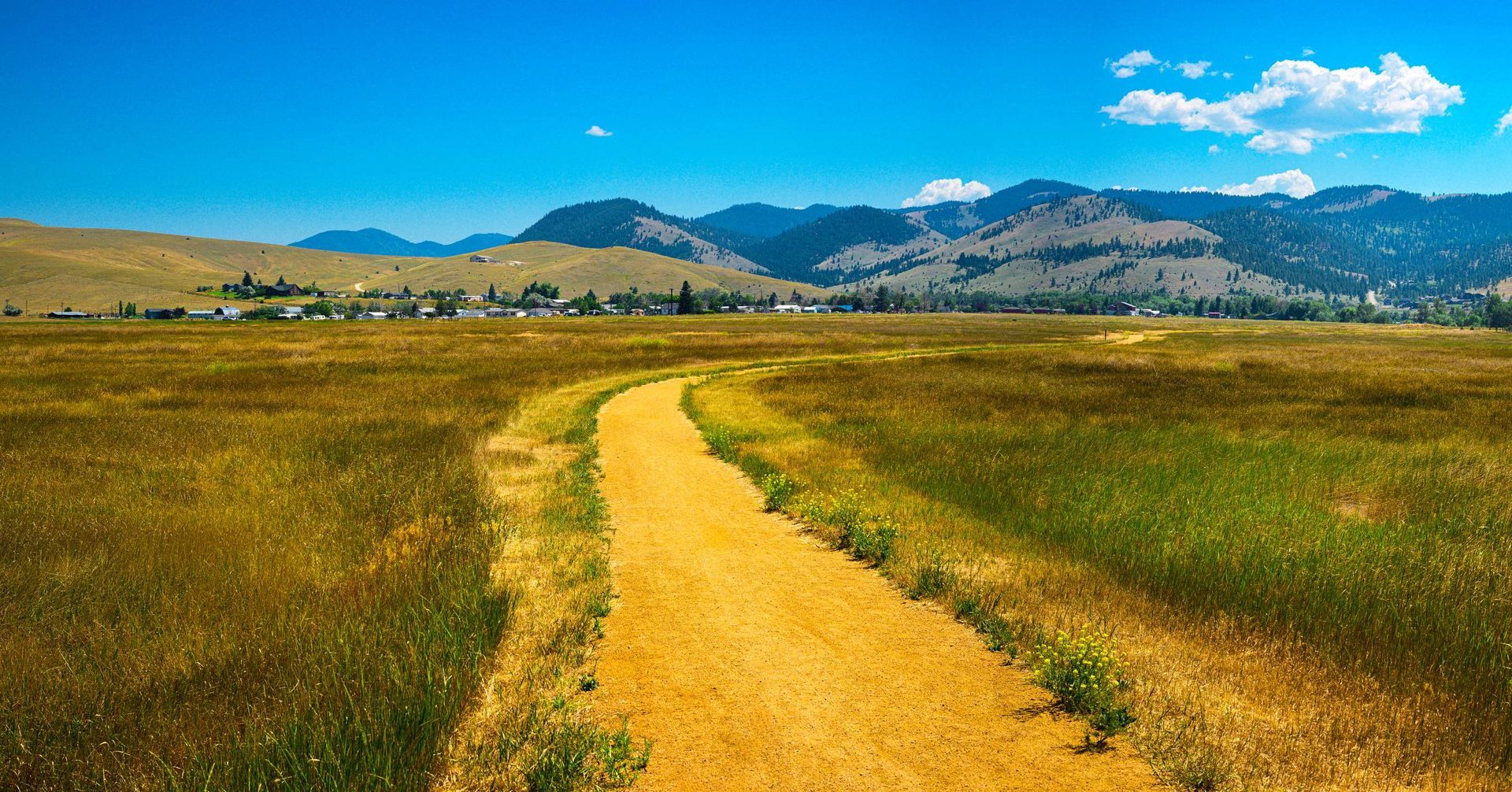 A dirt road going through a grassy field with mountains in the background.