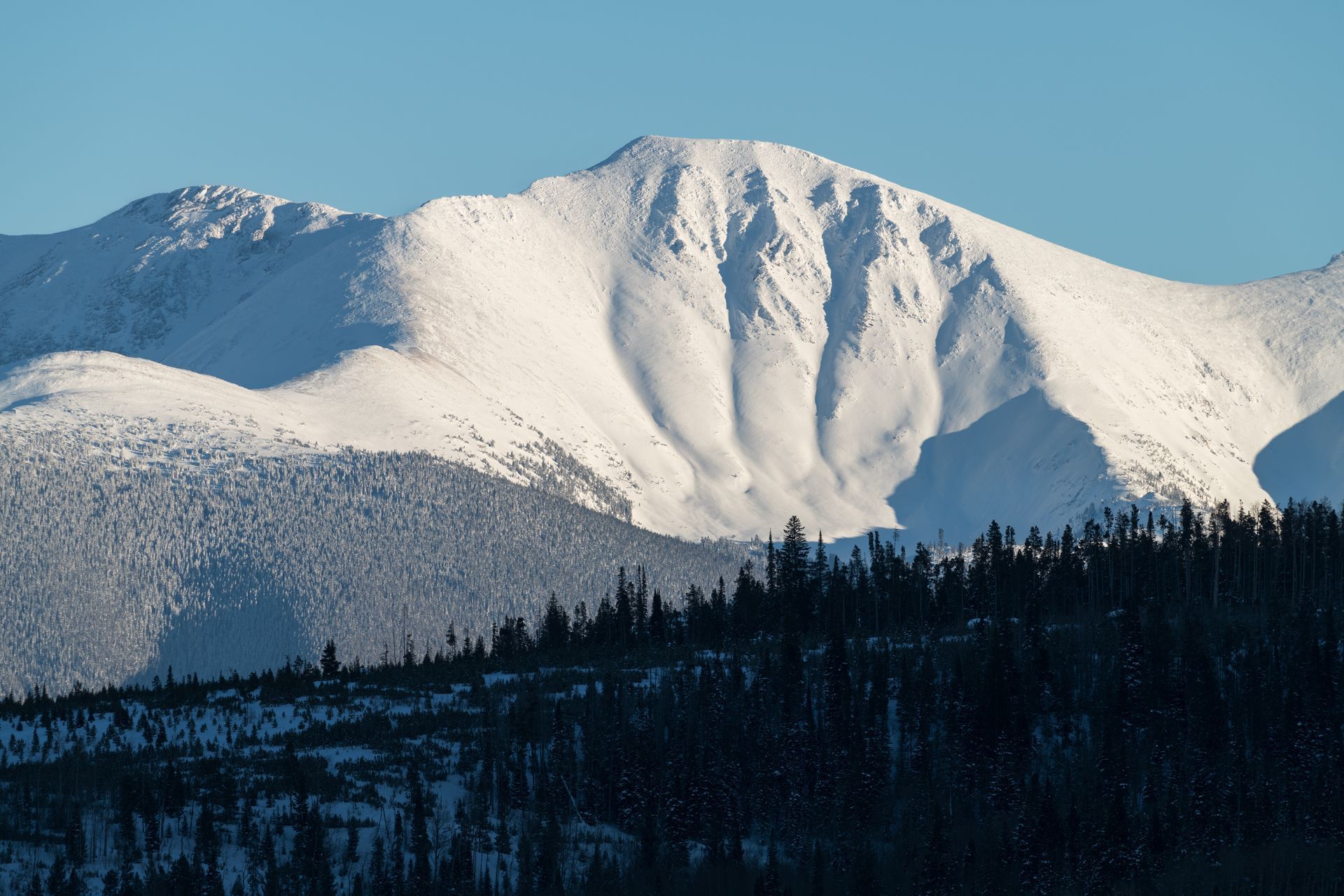 A snowy mountain with trees in the foreground