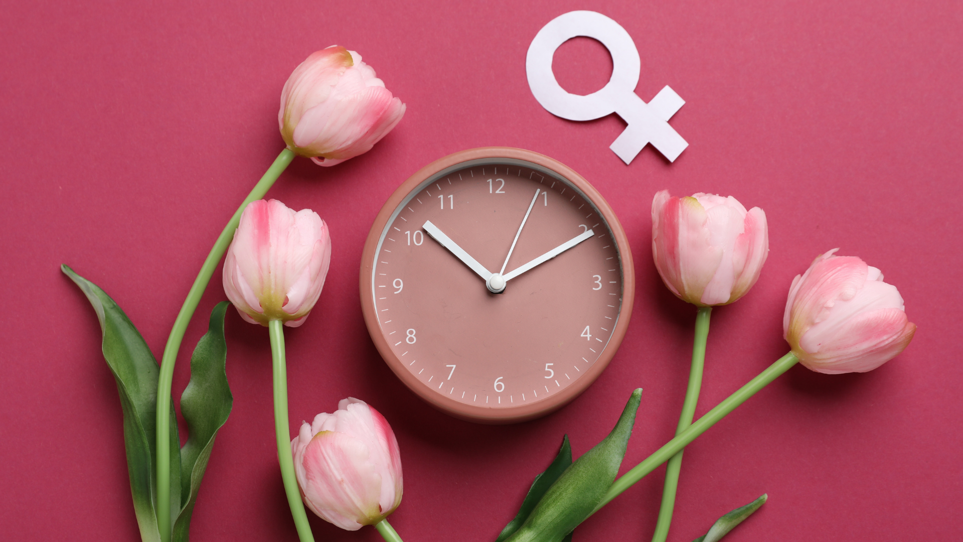 Pink tulips beside a brown clock with a white female symbol on a beige background