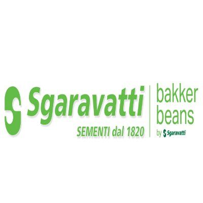 Logo Sgaravatti