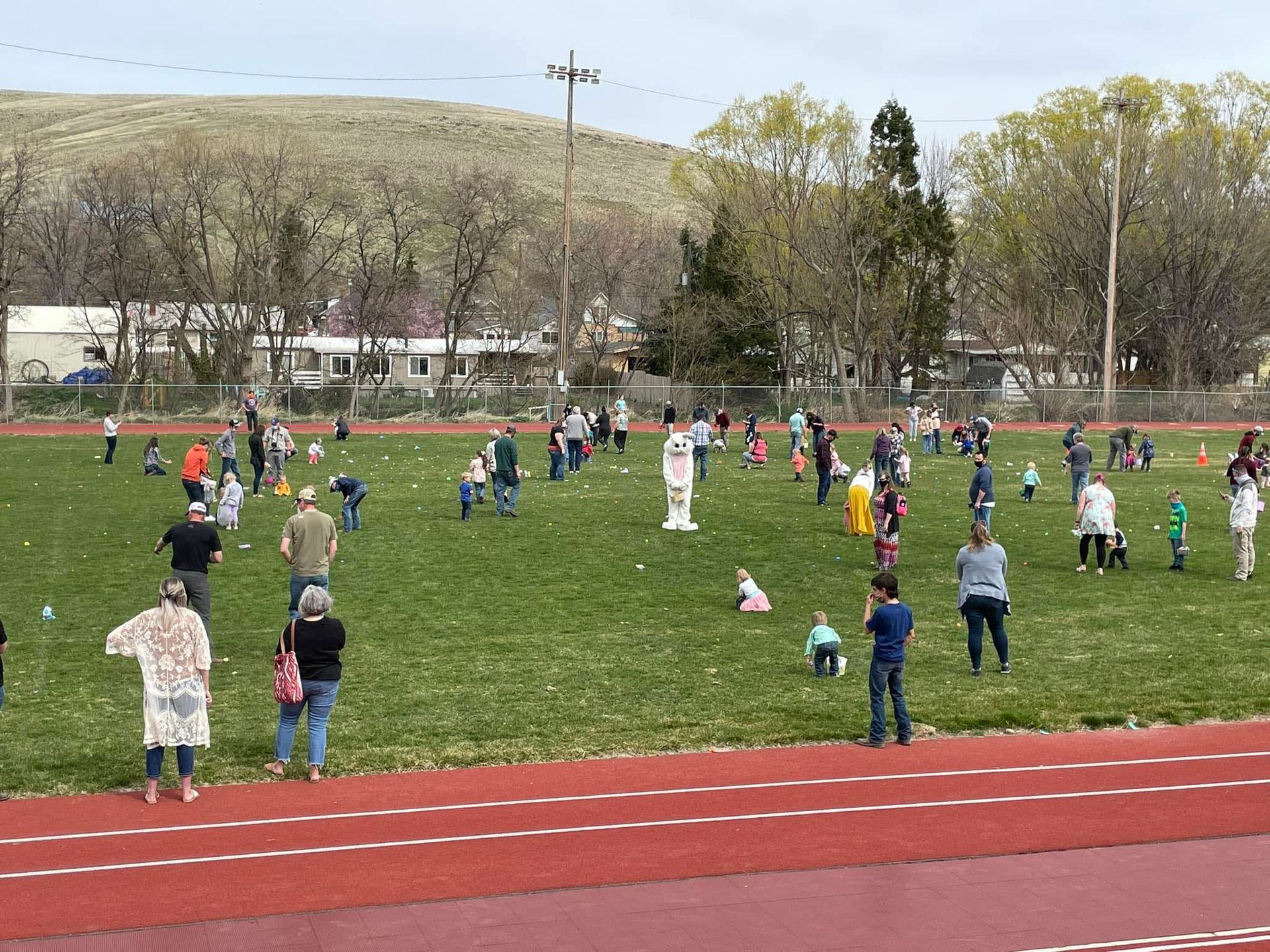 Easter egg hunt on a green field; many people and children searching for eggs near a track.