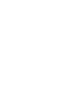 Logo Renault