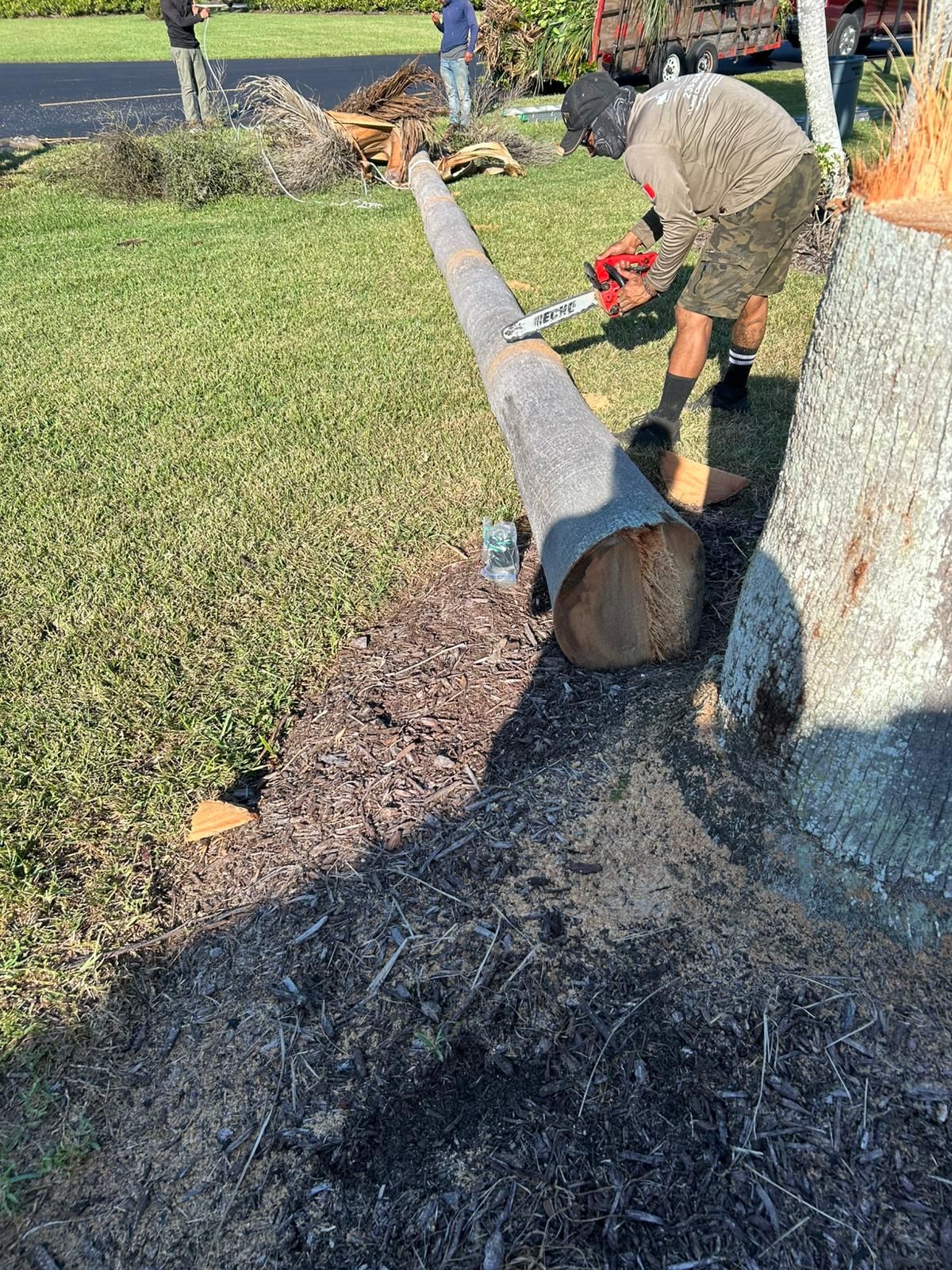 Man using a chainsaw on a fallen tree trunk, outdoors on a grassy area.