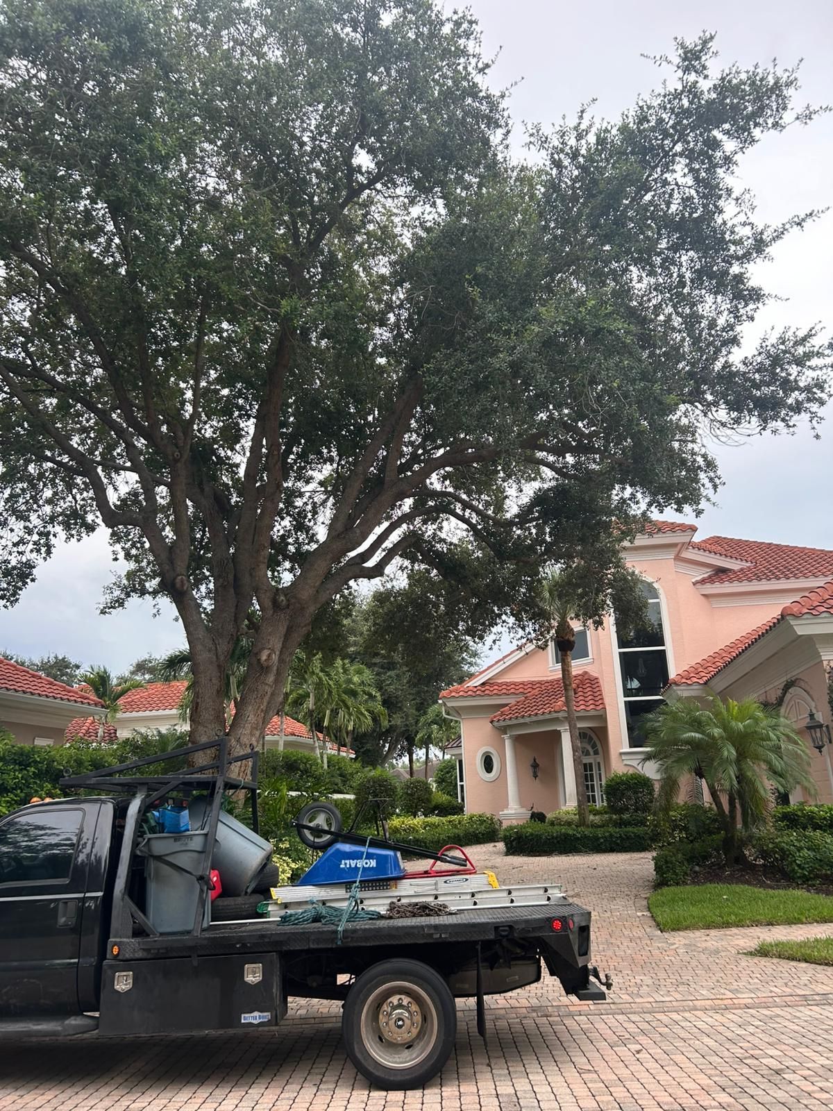 Black truck parked in front of a pink house with a large tree in the yard.