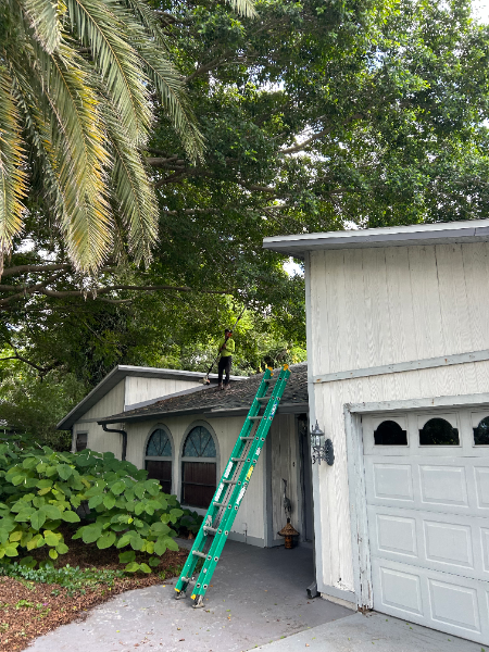Person on a roof with a green ladder. House with garage in front. Green trees in the background.