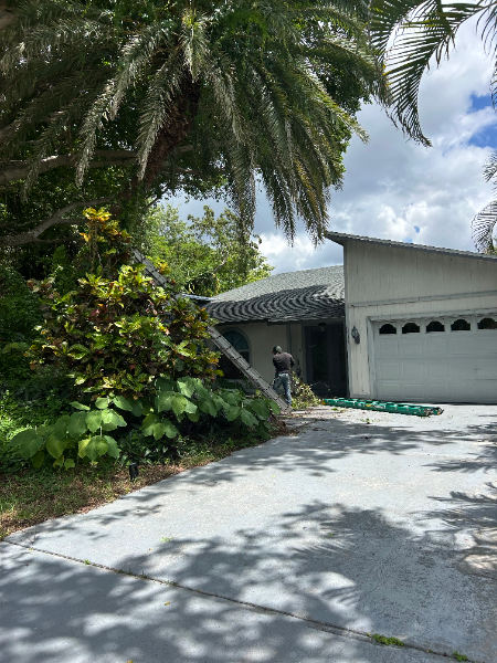 Person trims tree near a house with a white garage door and a driveway, under palm trees.