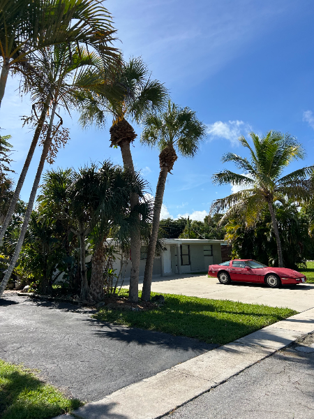 Red car parked in front of a small house with palm trees under a sunny blue sky.