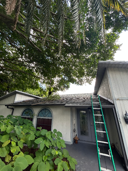 A house with a ladder against the roof. Trees hang overhead, with a gray roof and white walls.