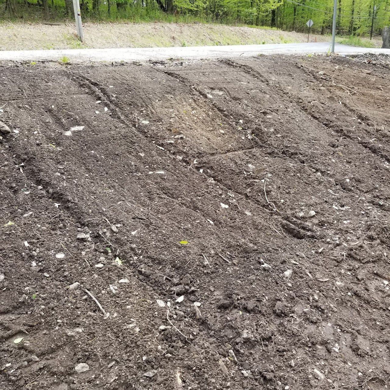 Rows of tilled garden soil, ready for planting. Brown earth with slight ridges.