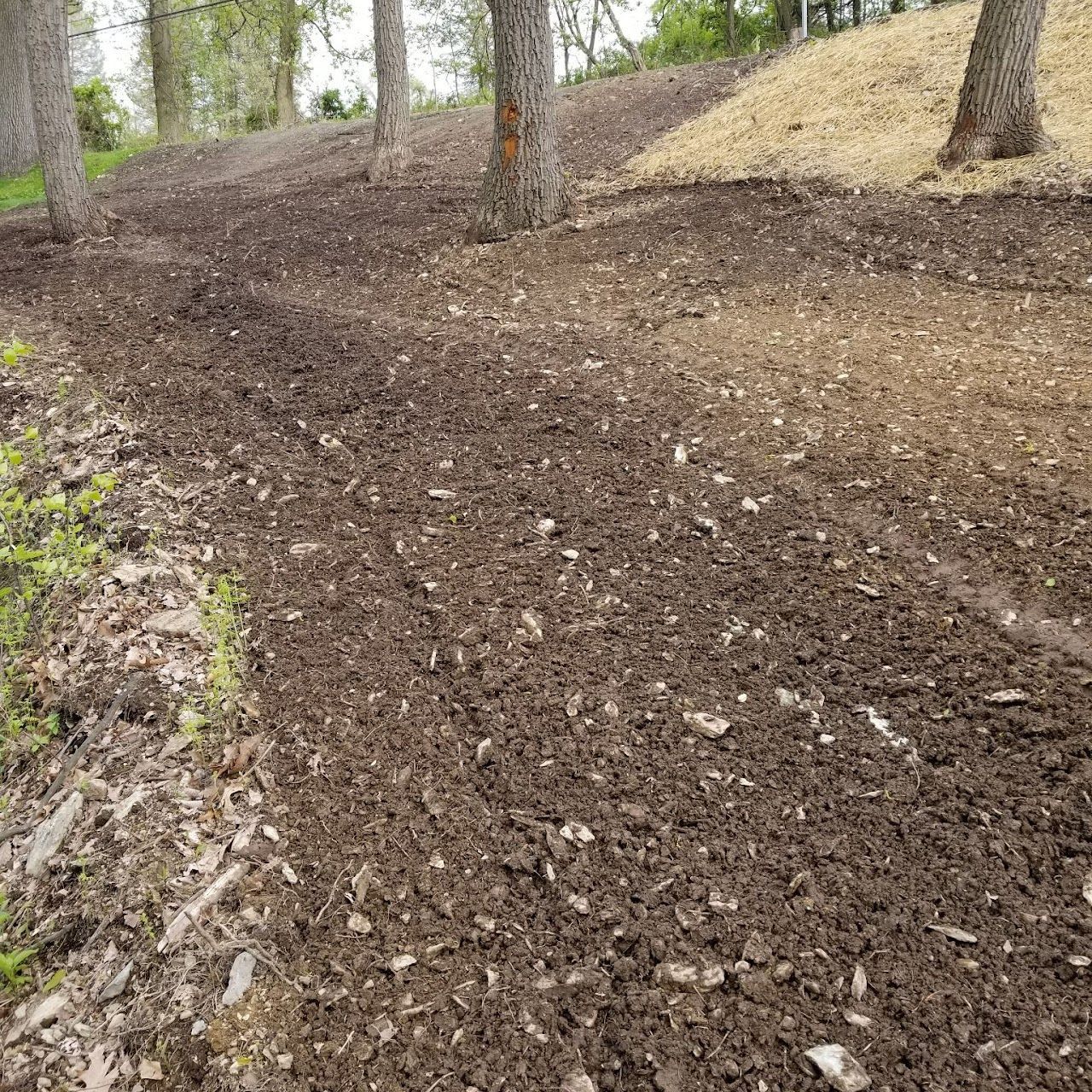 Tilled brown earth on a slight slope, with trees in the background.
