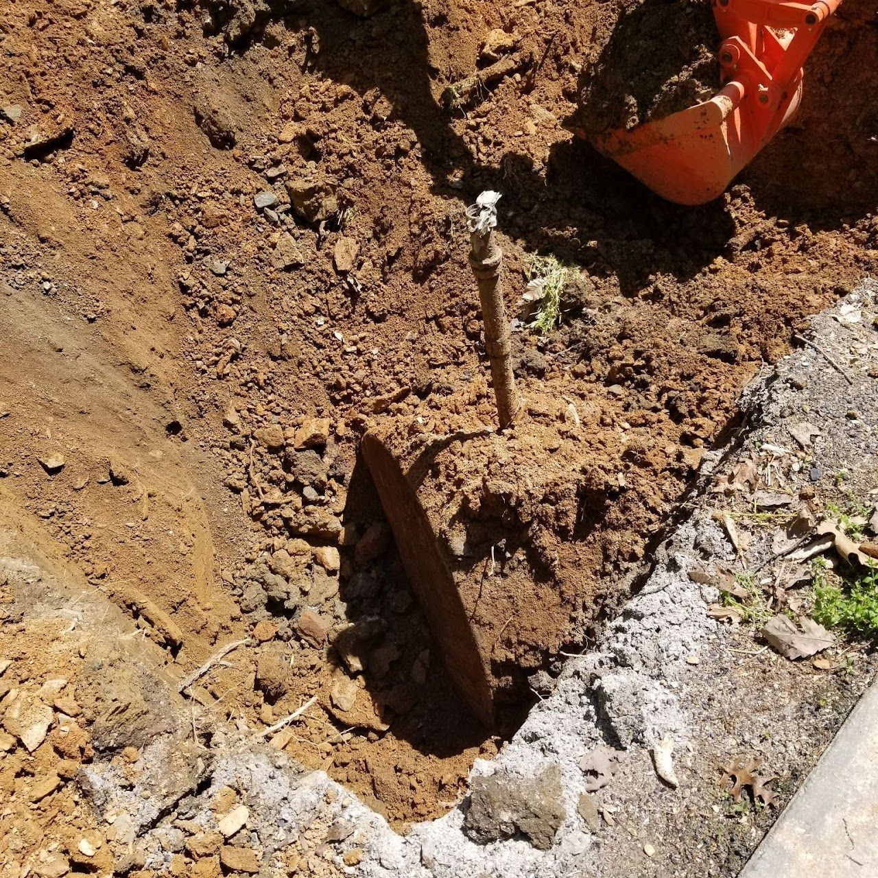 Newly planted tree sapling in a hole, surrounded by brown soil. Orange shovel is visible.