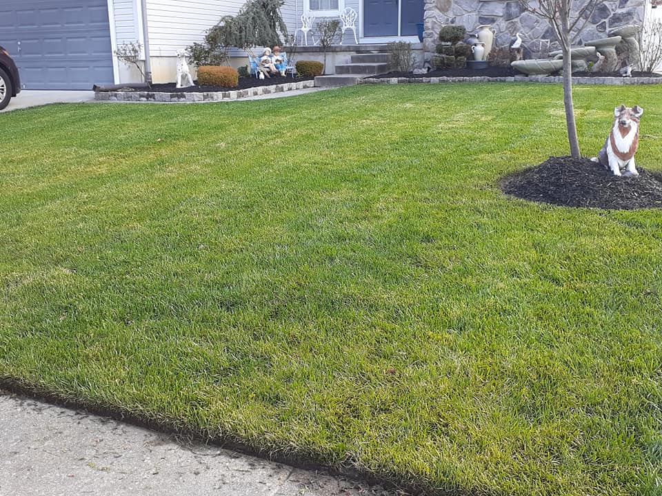 A dog statue is sitting in the middle of a lush green lawn.