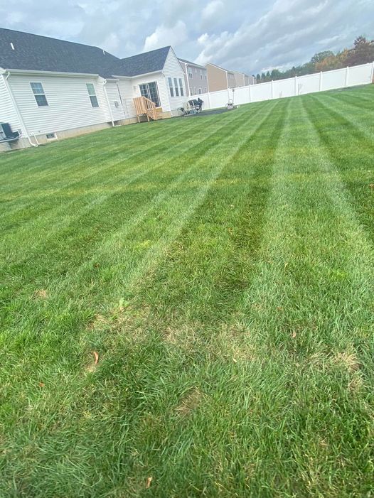 A lush green lawn with a white fence in the background and a house in the background.