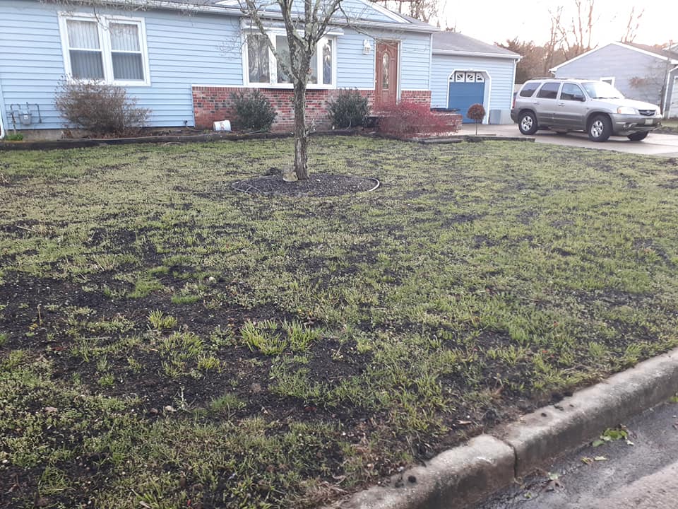 A blue house with a car parked in front of it