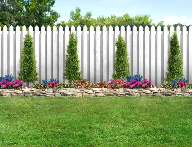 White picket fence with flowering plants, evergreens, and green lawn on a sunny day