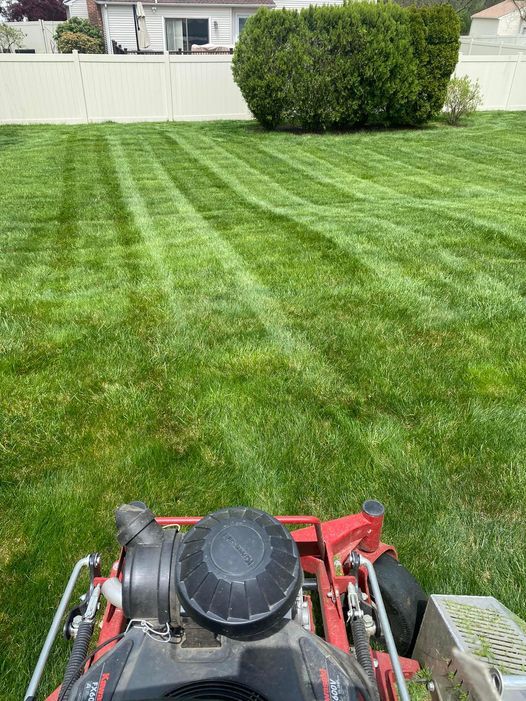 A red lawn mower is cutting a lush green lawn.