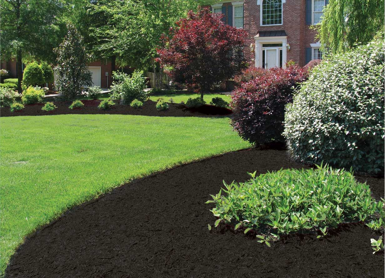A lush green lawn with black mulch in front of a house