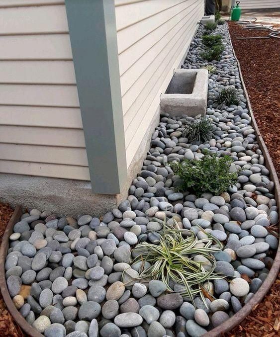 A garden filled with rocks and plants next to a house