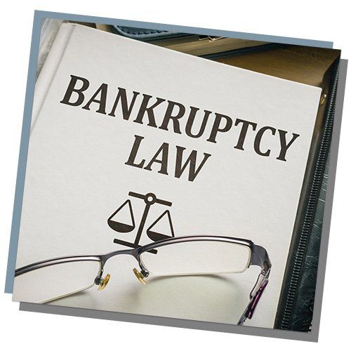Bankruptcy Law Book — Mobile, AL — Frances Hoit Hollinger, LLC