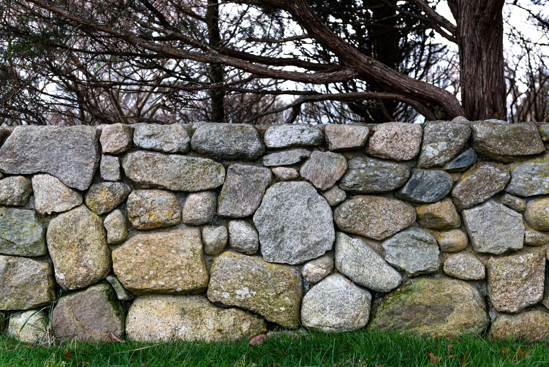 A stone wall with trees in the background and grass in the foreground.