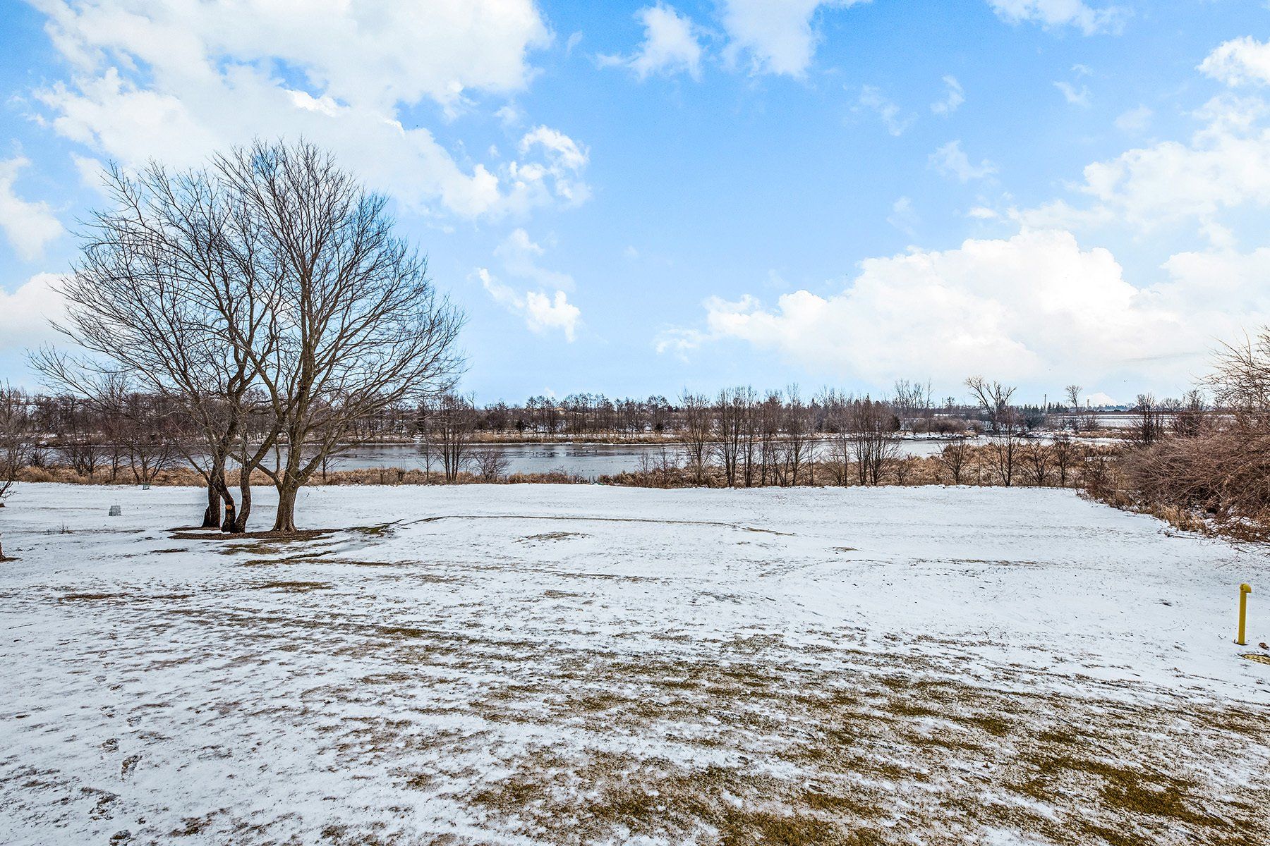 A snowy field with trees in the background and a blue sky