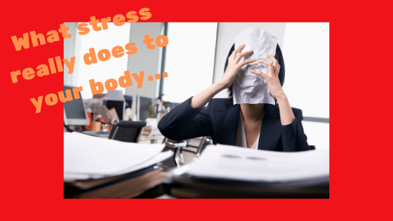 What stress really does to your body...