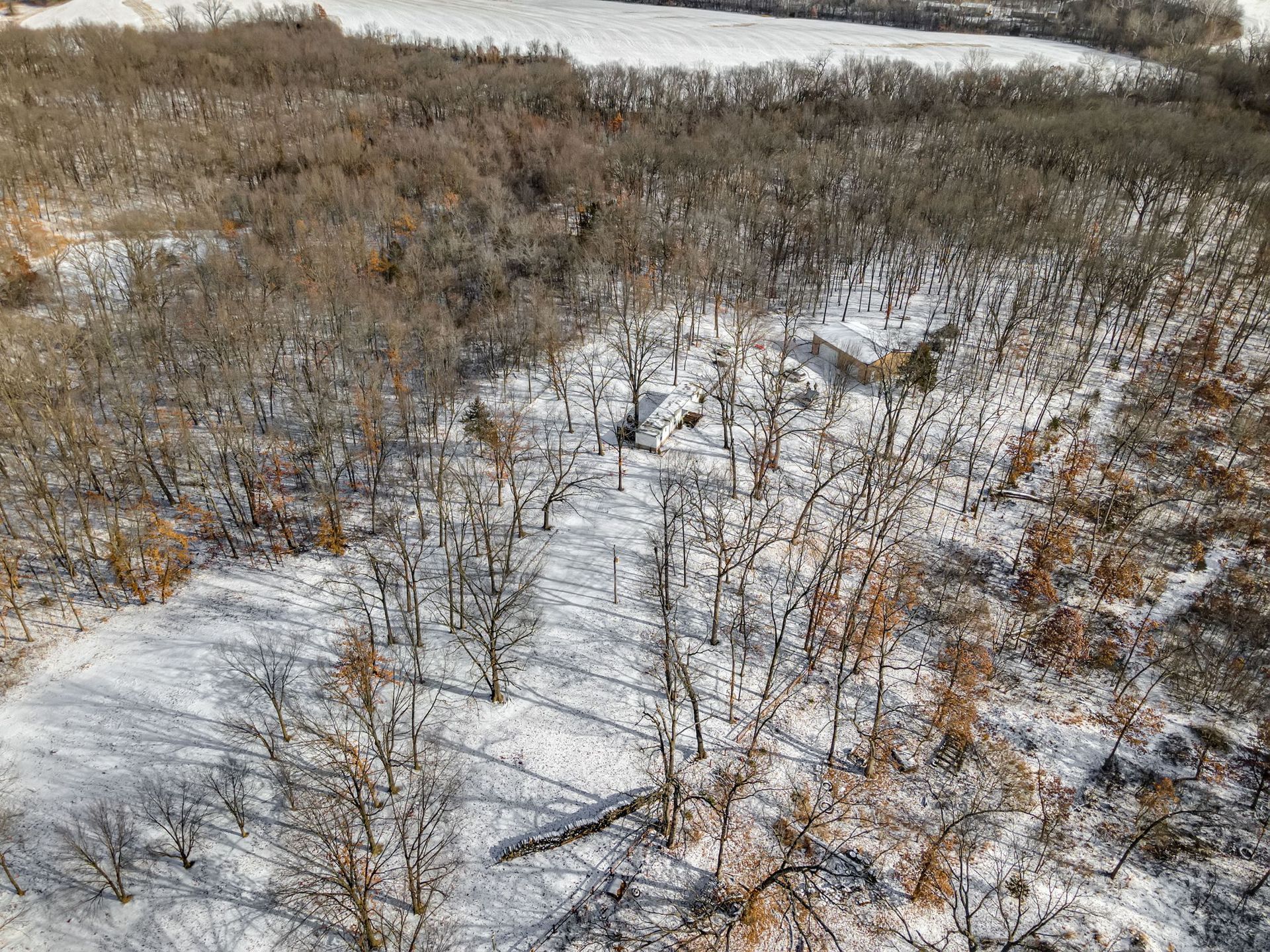 An aerial view of a snowy forest with trees covered in snow.