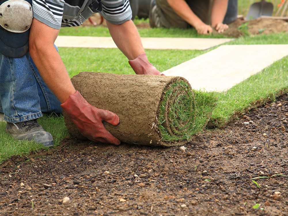 A man is rolling a roll of grass on the ground.