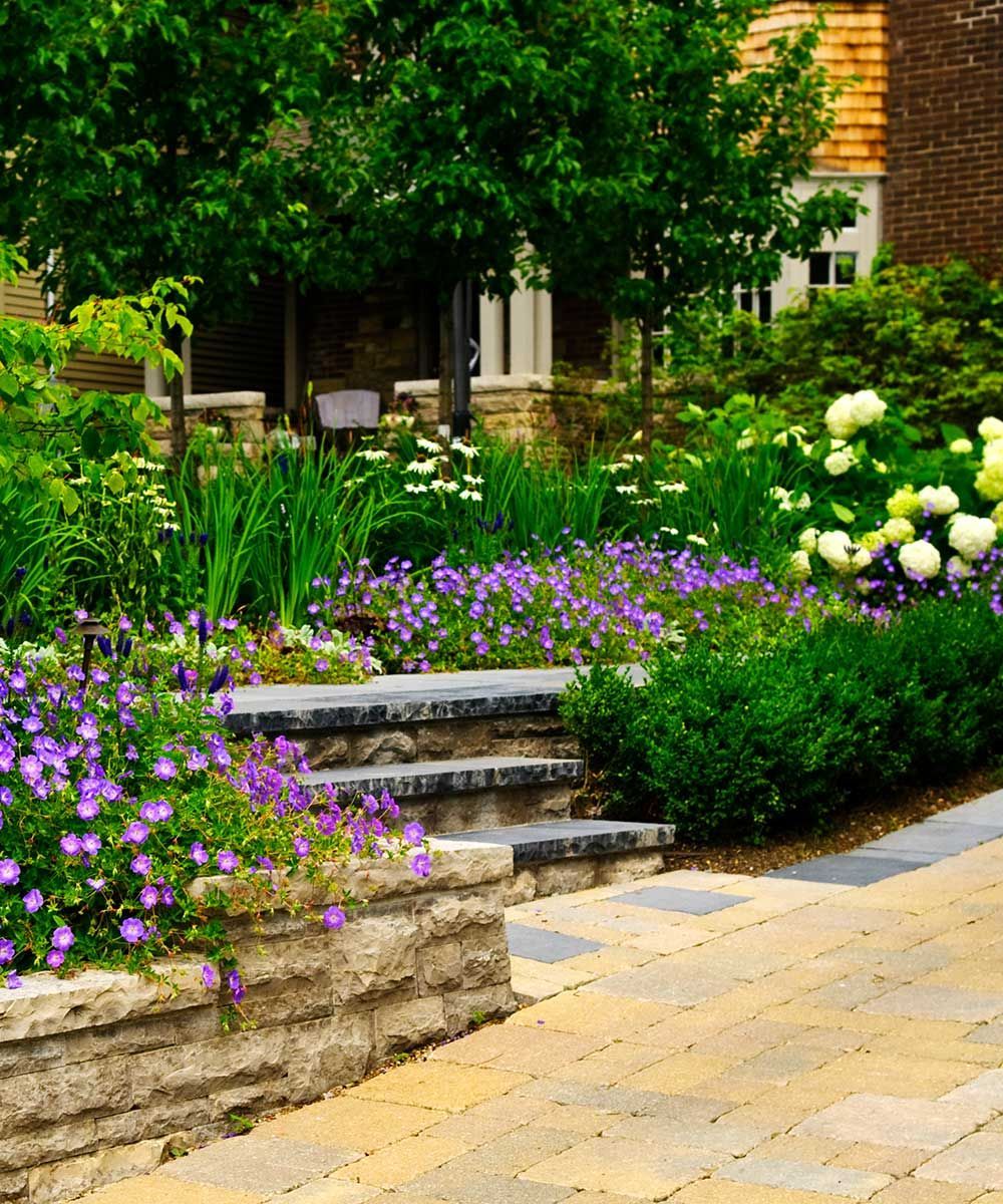 A garden with purple and white flowers and a stone wall