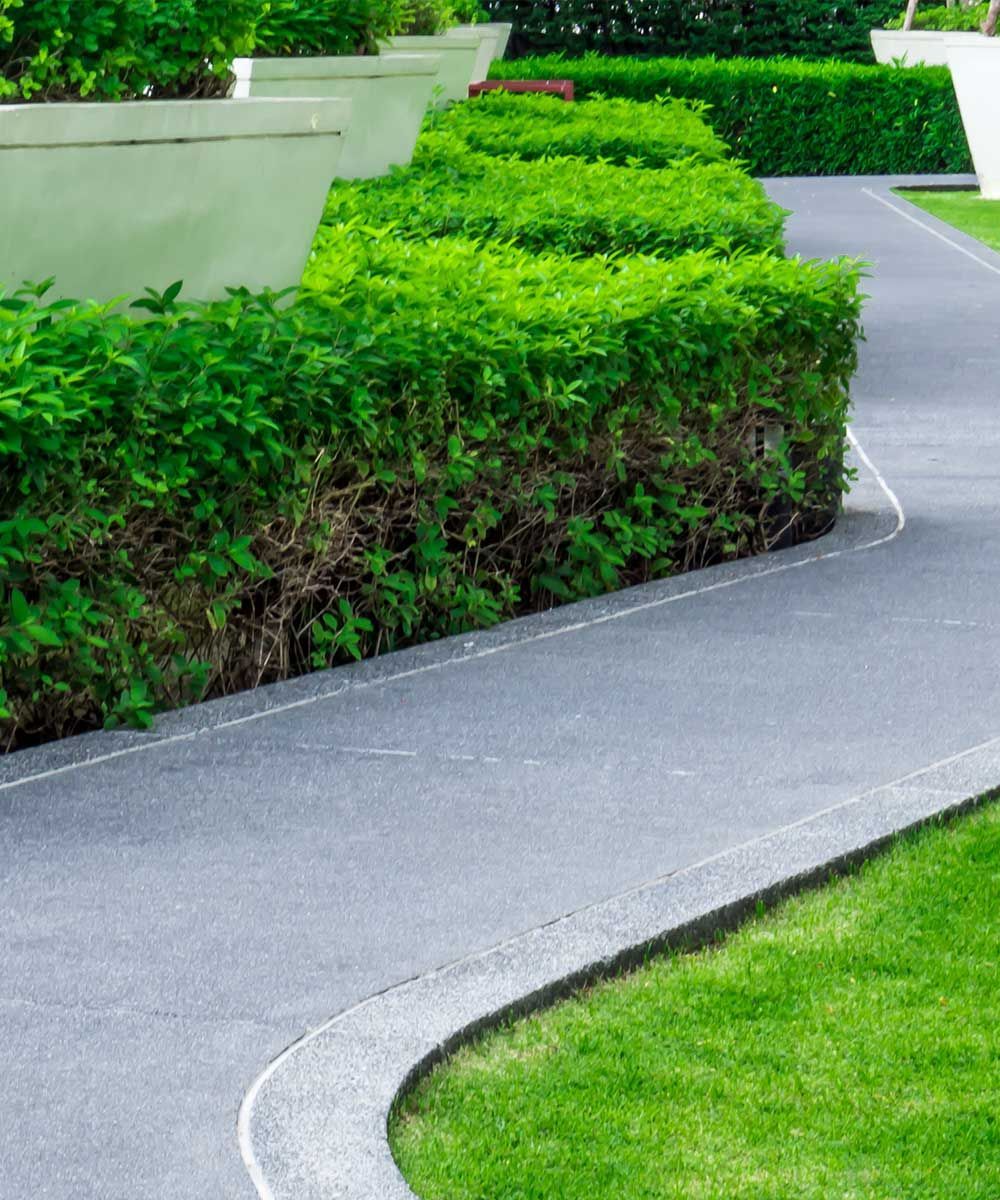 A concrete walkway surrounded by green bushes and a lush green lawn.