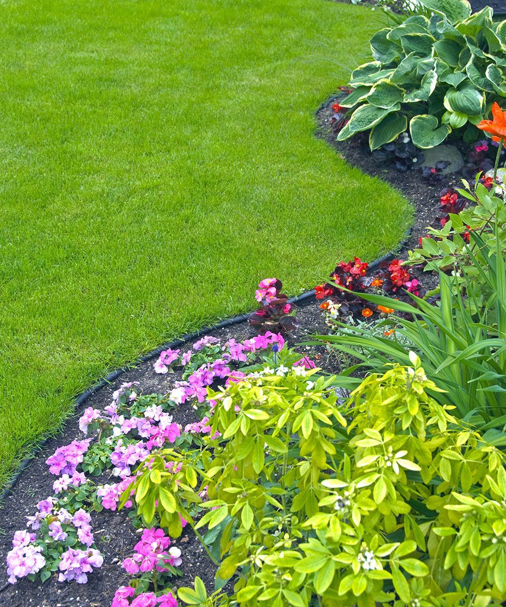 A garden with flowers and a lush green lawn